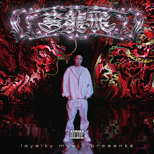 亚洲一区二区三区在线不卡在线观看
